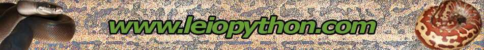 www.leiopython.com