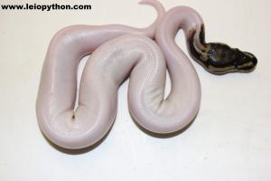 mehr wei geht nicht mehr :-)